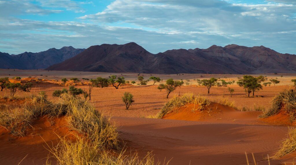 Namibian Diamonds